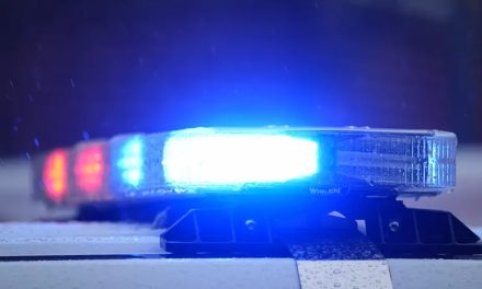 Louisiane | Huit enfants tués par balle dans des violences intrafamiliales