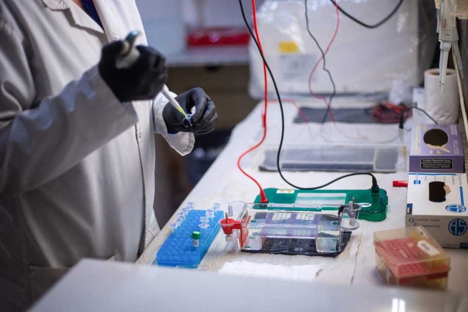 Hantavirus | L’Agence de la santé publique du Canada confirme un cas d’infection