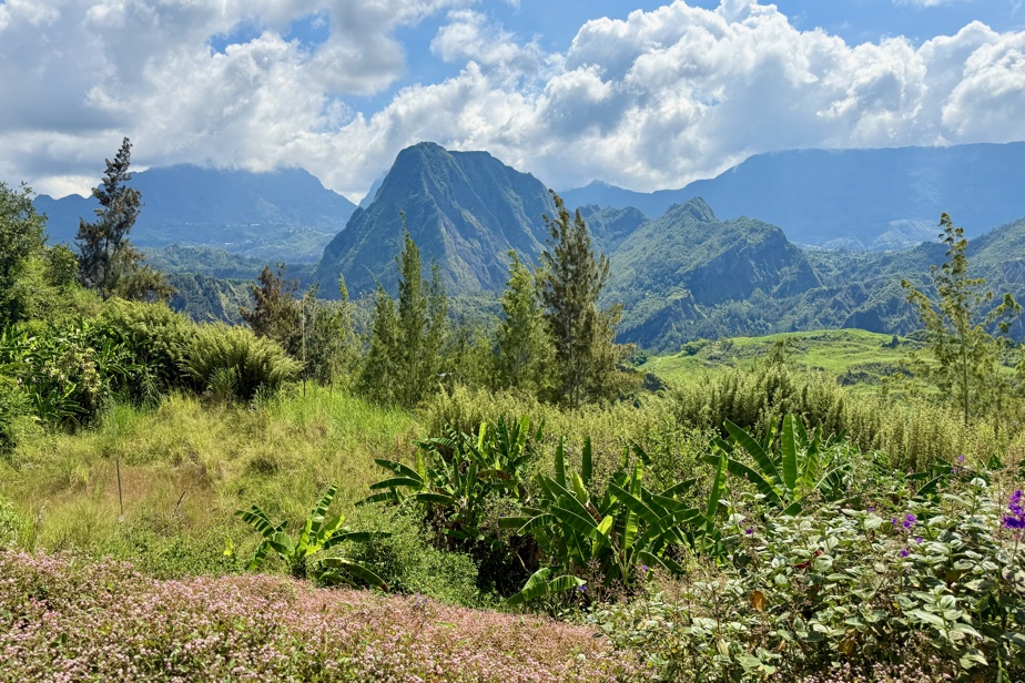 L’île de La Réunion | Le diamant brut de l’océan Indien