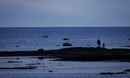 Santé de l’estuaire et du golfe du Saint-Laurent | Léger répit malgré un réchauffement qui se poursuit