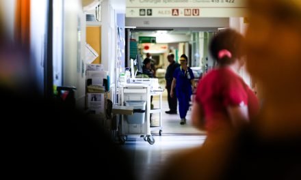 Des professionnels vantent le Dossier santé numérique