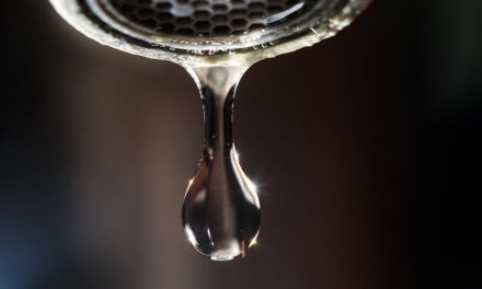 Conduite d’eau fragilisée | Plus d’un million de Montréalais devront réduire leur consommation