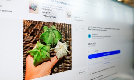 Importation en ligne | Poussés vers l’illégalité par passion des plantes