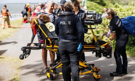 Accident de navette fluviale | Plus de formation réclamée pour les bateaux de plaisance