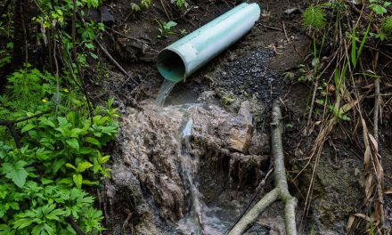 Montérégie | À Les Cèdres, un égout en pleine nature