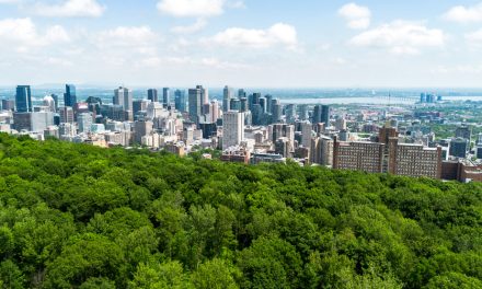 150e anniversaire du parc du Mont-Royal | Un « joyau collectif » toujours aussi précieux