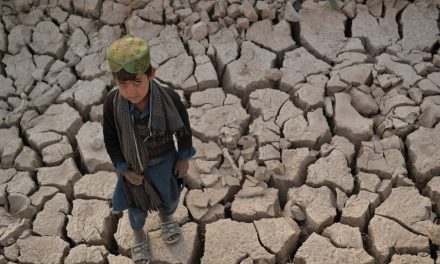 Conflits ou climat | Près de 100 millions d’enfants privés d’école par des crises