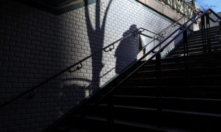 On ne peut être surpris : le fil rouge du racisme