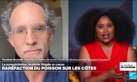 Focus JTA Pêche en Afrique de l’Ouest : pourquoi les stocks de poissons s’effondrent-ils ?