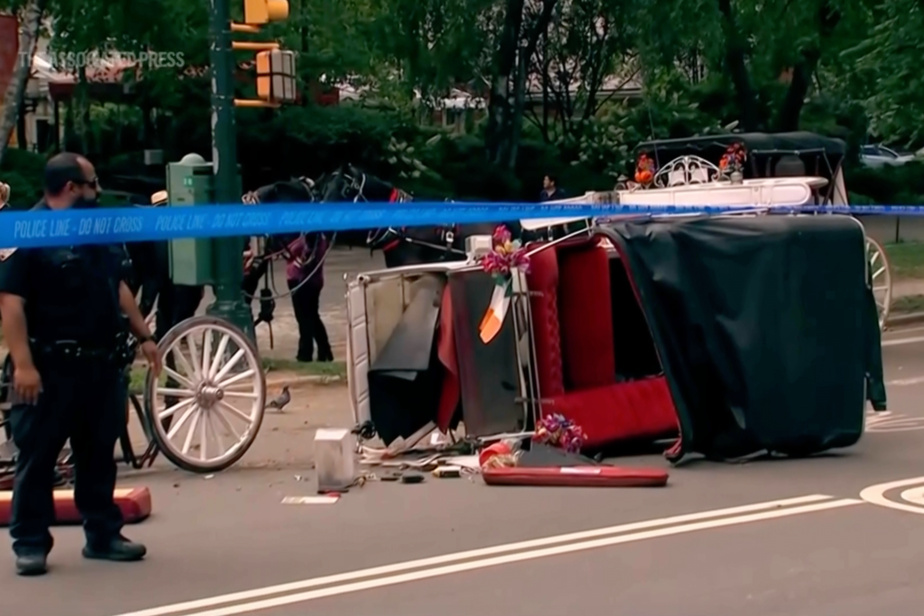Mort d’un touriste | Les promenades en calèche à New York suspendues