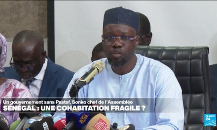 Sénégal : Ousmane Sonko, premier opposant ?