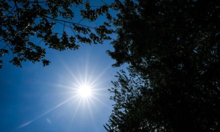 Vague de chaleur au Québec | Ces sept moyens pour se rafraîchir sont-ils efficaces ?