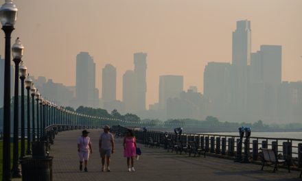 Incendies de forêt | Trump blâme le Canada pour la pollution de l’air aux États-Unis