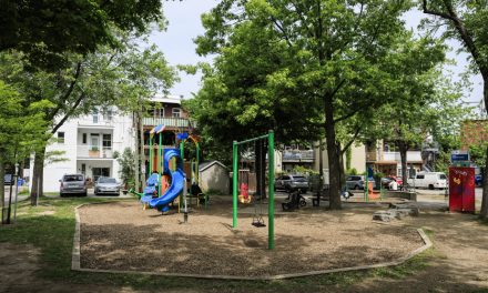 Ruelles vertes | Un tas de tôle devenu l’oasis des enfants