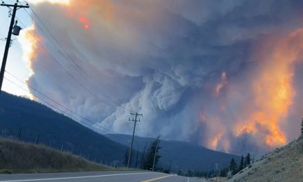 Colombie-Britannique | Des incendies de forêt fusionnent au nord de Clinton