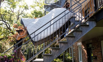 Montréal | Des déménagements sous la chaleur