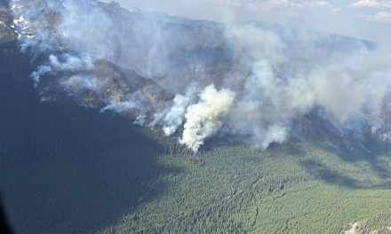 Incendies de forêt | Des municipalités sur le qui-vive partout au pays