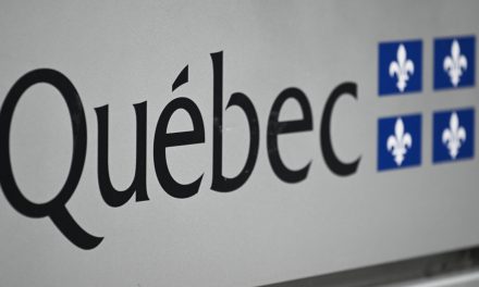 Fonction publique | Québec écarte des projets en intelligence artificielle et automatisation