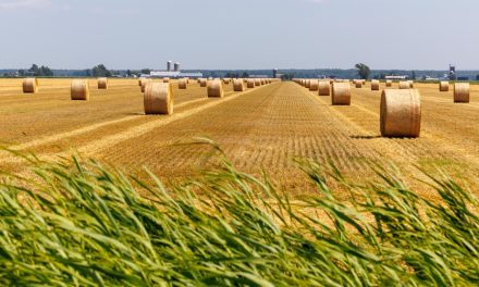 Les agriculteurs pourront cultiver jusqu’à 200 000 hectares de plus, annonce Québec