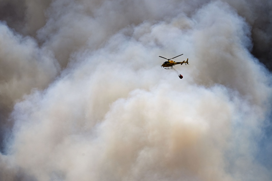 Canicules en Europe | Des scientifiques à l’assaut des incendies de forêt