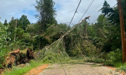 Saint-Donat | Une deuxième tornade confirmée au Québec