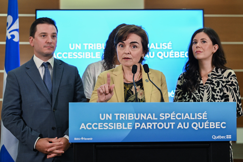 Tous les districts judiciaires ont maintenant leur tribunal spécialisé en violence conjugale