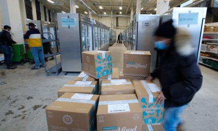 Marché Goodfood | Ventes en baisse, incertitude sur la poursuite des activités