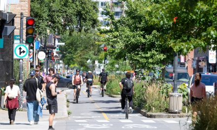 Réseau cyclable | Montréal veut améliorer la cohabitation sur quatre pistes