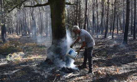 Incendies de forêt en France | « Les pompiers ne peuvent pas nous aider »