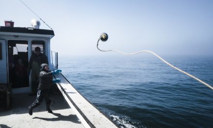 Industrie de la pêche | Le Fonds des pêches du Québec est reconduit et bonifié