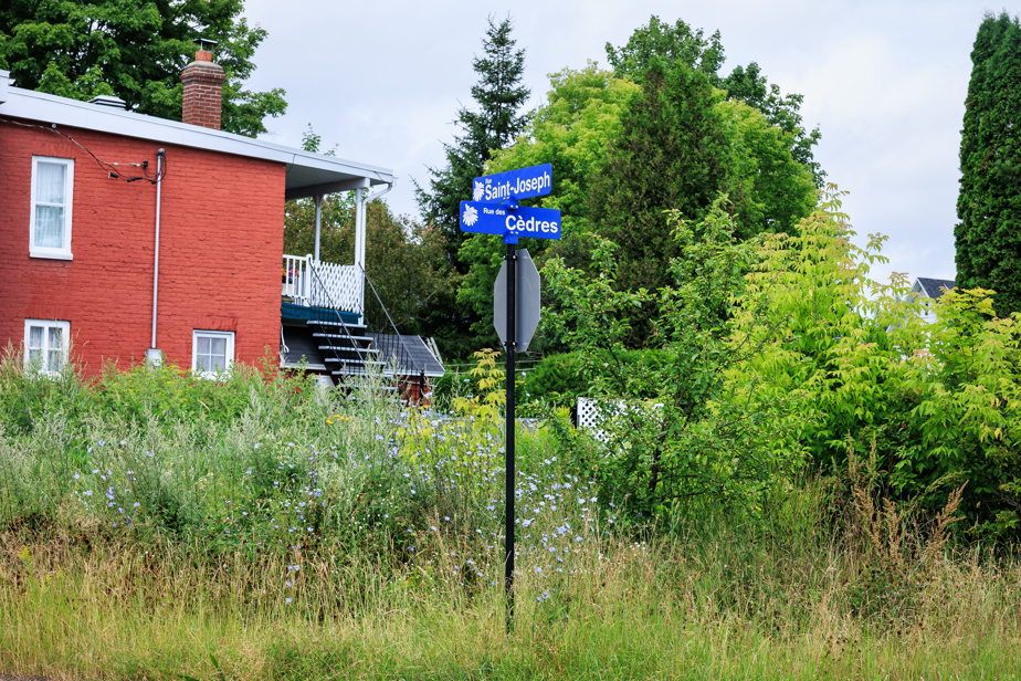Cri du cœur pour l’environnement