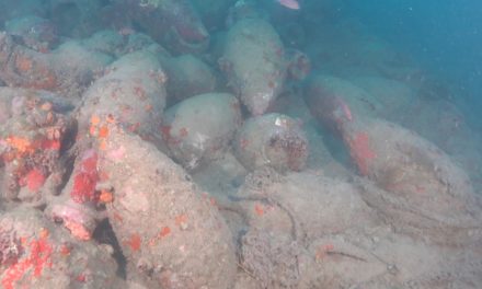 Une épave remplie d’amphores découverte au large de la Sicile