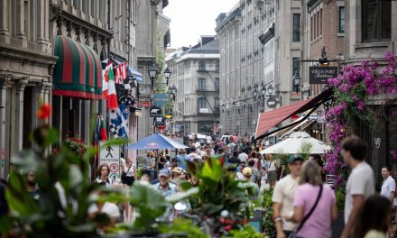 Bilan de mi-saison | Montréal fait courir les touristes