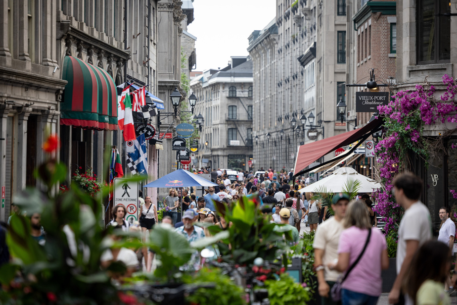 Bilan de mi-saison | Montréal fait courir les touristes