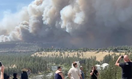Des incendies de forêt dévastateurs font rage dans l’État de Washington