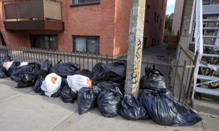 Gestion des déchets à Montréal | Quatre autres arrondissements passent à la collecte aux deux semaines