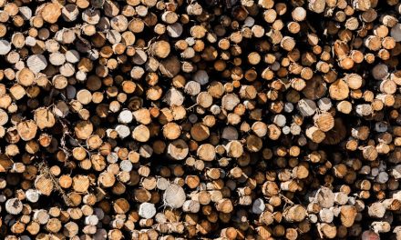 Aide à l’industrie forestière | Une majorité de petits acteurs exclus