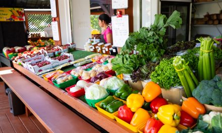 Empreinte climatique de la nourriture | L’assiette des Québécois sous la loupe