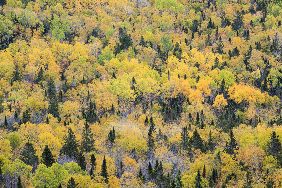 Prévisions météo pour l’automne | Températures au-dessus de la moyenne et hiver retardé
