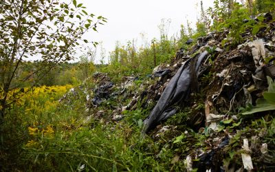 Dépotoirs illégaux abandonnés | Pollueurs non-payeurs