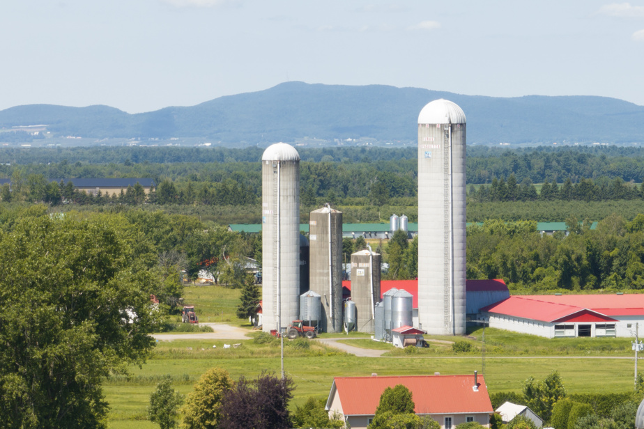 Le fil électoral | L’agriculture à l’avant-plan