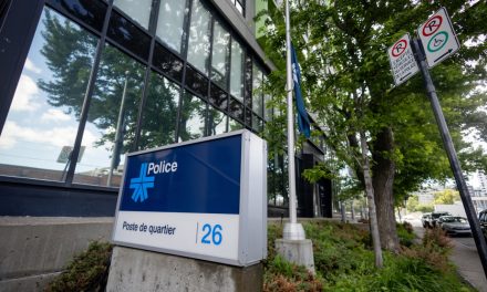Légère baisse de la criminalité à Montréal l’an dernier