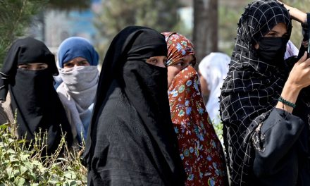 Canada | Des cours virtuels servent de bouées de sauvetage aux femmes afghanes