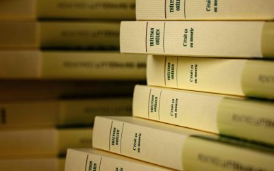 C’était ça ou mourir  | L’Académie Goncourt retire le roman de Thélyson Orélien de sa sélection pour le prix