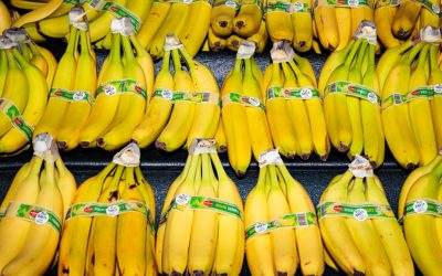 Guerre en Iran | Le commerce du fruit préféré des Nord-Américains perturbé