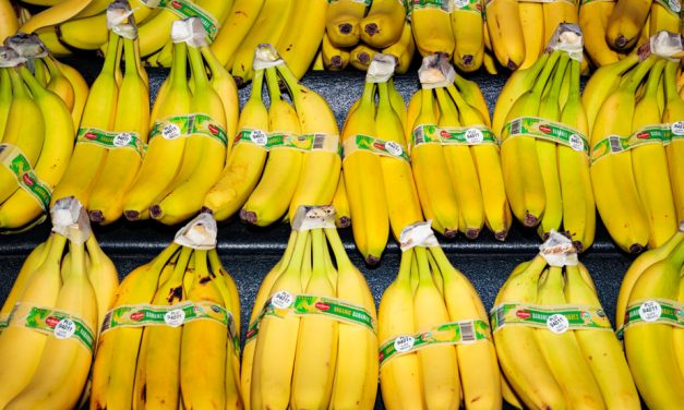 Guerre en Iran | Le commerce du fruit préféré des Nord-Américains perturbé
