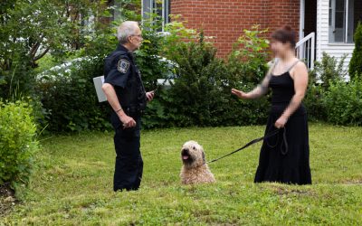 Immersion à la Ville de Montréal | Enquêteur canin, métier imprévisible et risqué