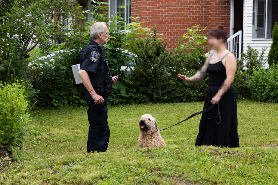 Immersion à la Ville de Montréal | Enquêteur canin, métier imprévisible et risqué