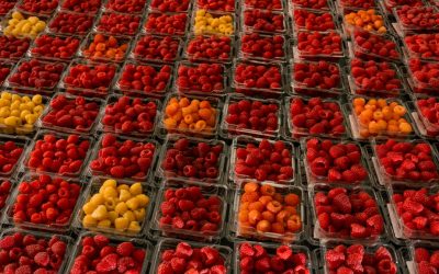 Résidus de pesticides hors norme | Driscoll’s visée par une demande d’action collective au Québec