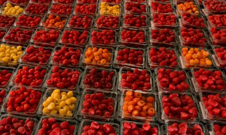 Résidus de pesticides hors norme | Driscoll’s visée par une demande d’action collective au Québec